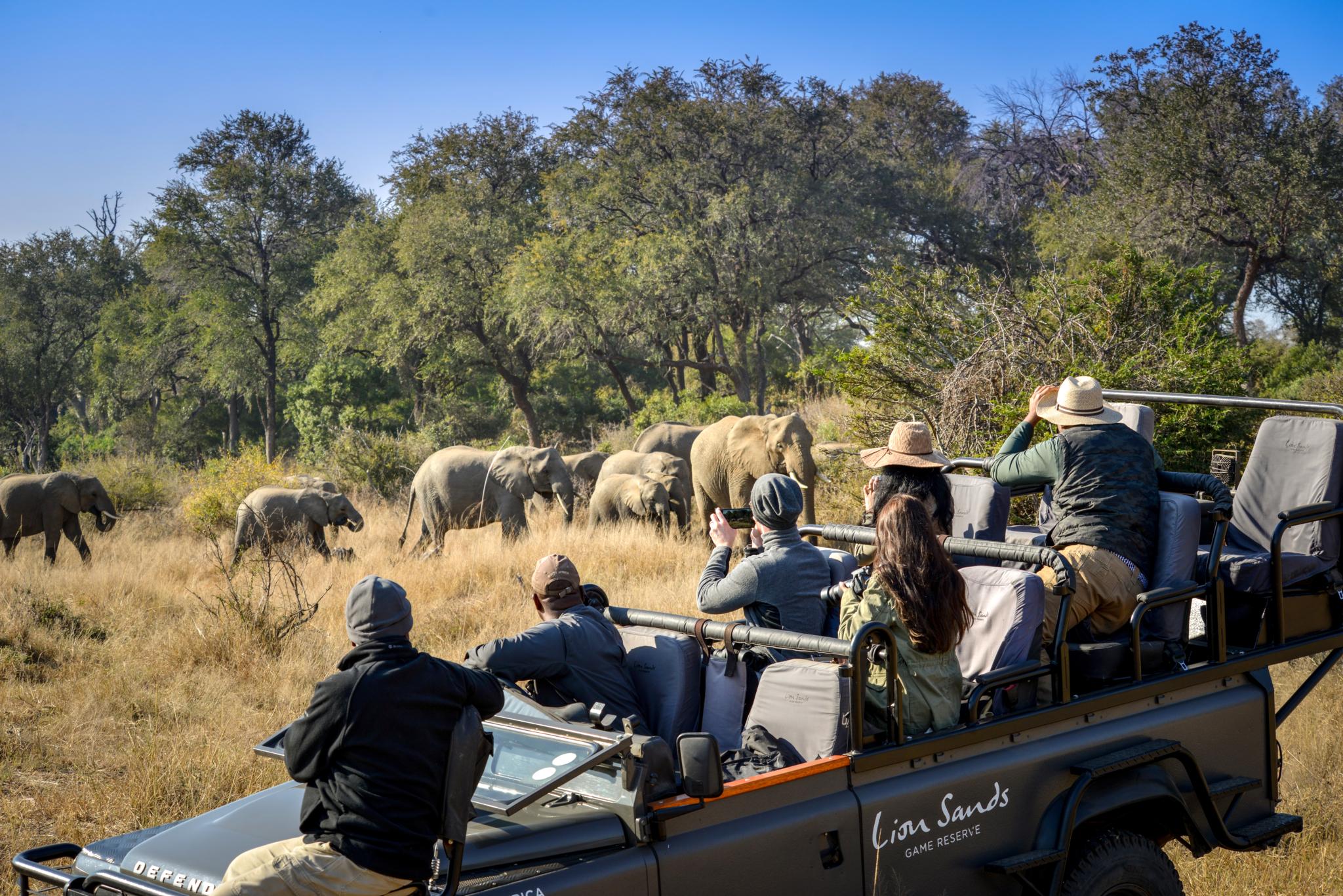 Lion Sands Tinga Lodge Skukuza Kültér fotó