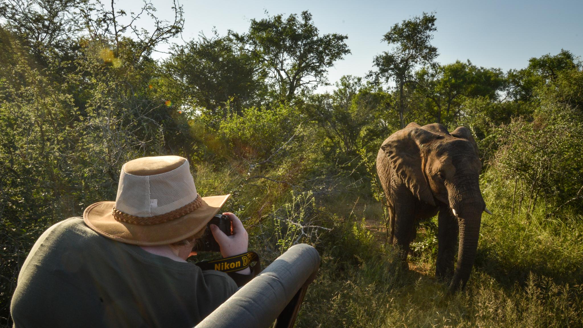 Lion Sands Tinga Lodge Skukuza Kültér fotó